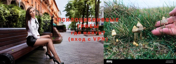 mdpv Алзамай